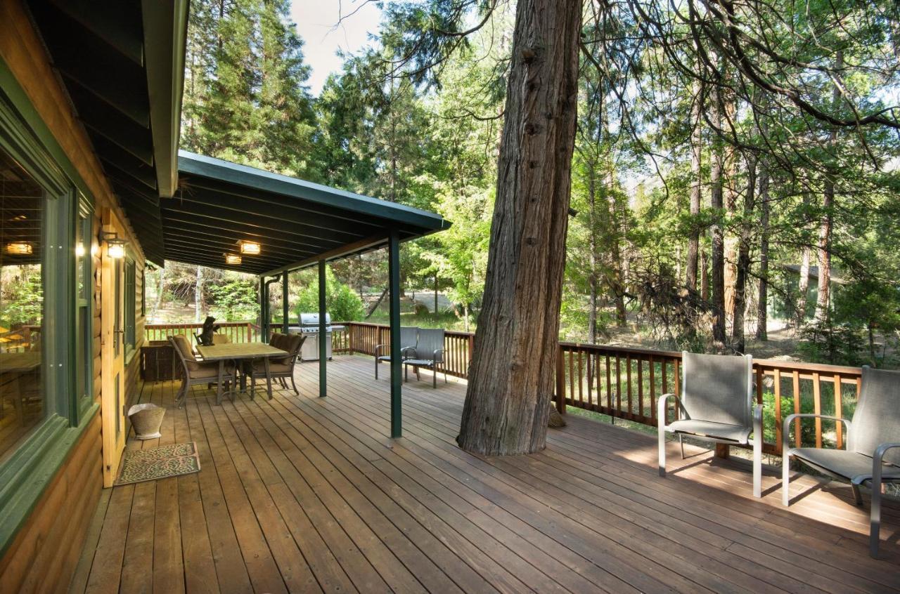 48 Sugar Pine